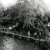 Tom Sawyer Island Suspension and Pontoon Bridge 1970s