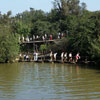 Tom Sawyer Island Suspension and Pontoon Bridge, May 9, 1959