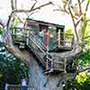 Disneyland Tom Sawyer Island Treehouse, February 2006