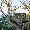 Disneyland Tom Sawyer Island Treehouse, February 2006