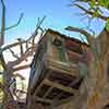 Disneyland Tom Sawyer Island Treehouse, February 2007