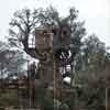 Tom Sawyer Island Treehouse, 1950s