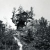 Tom Sawyer Island Treehouse, 1950s