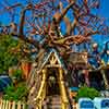 Disneyland Toontown April 2014