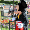 Disneyland Town Square July 2011