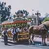 Disneyland Town Square, July 1961