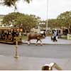 Disneyland Town Square Spring, 1971