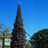 Town Square August 1975