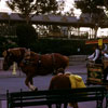 Disneyland Town Square, November 1970