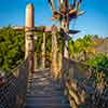 Disneyland Tarzan's Treehouse photo, January 2015