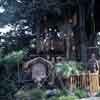 Disneyland Swiss Family Robinson Treehouse February 1971