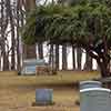 Deer, Washington Memorial Chapel Cemetery, Valley Forge Park, March 2007