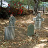 Live Steamers in Griffith Park, May 2007