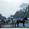 Colonial Williamsburg, Virginia October 1953