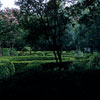 Governor's Palace Garden, August 1959