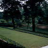 Governor's Palace Garden, August 1959