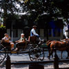 Williamsburg, Virginia August 1959