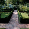 Bryan House gardens, Williamsburg, Virginia, August 1959