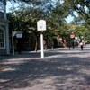 Williamsburg, Virginia August 1959