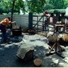 Williamsburg, Virginia August 1978